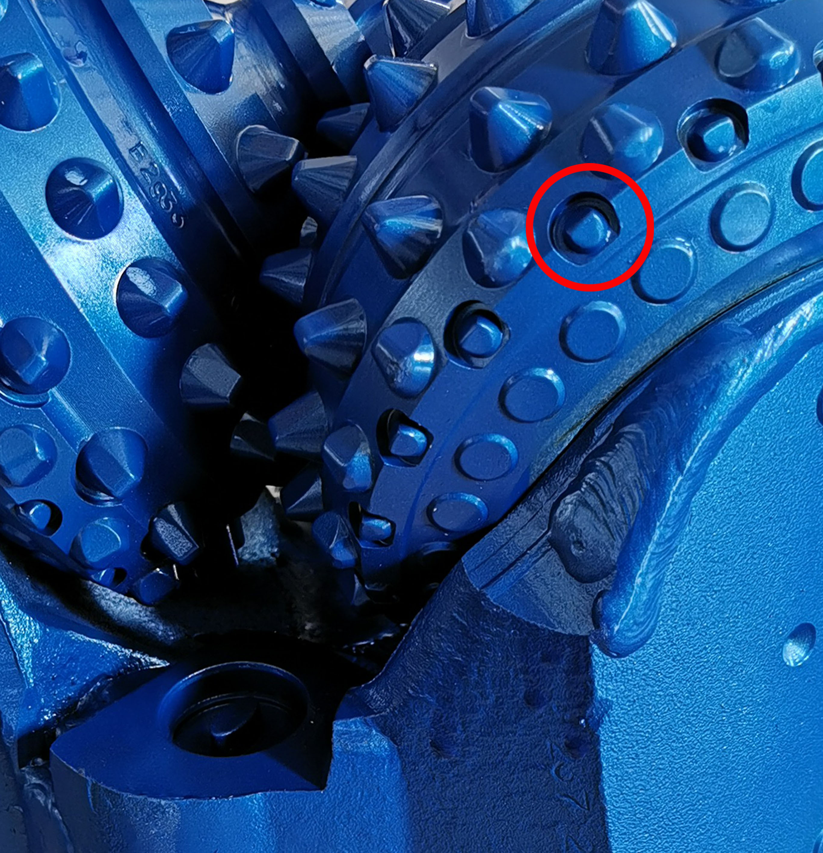 حماية خاصة للمخروط