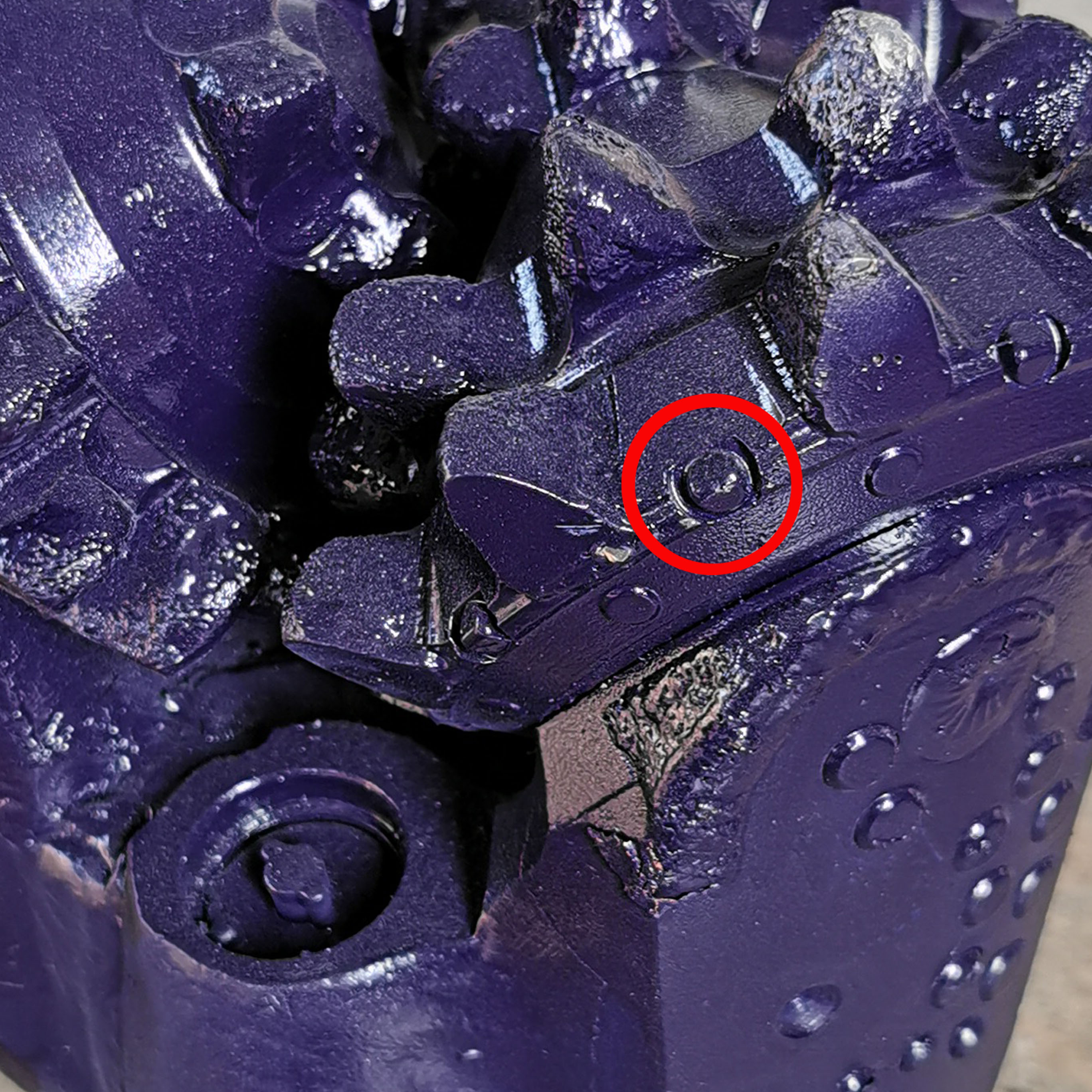 حماية خاصة للمخروط